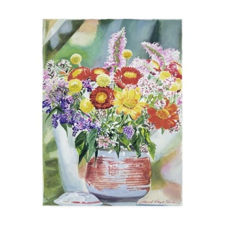 David Lloyd Glover 'Cookie Jar Flowers' Canvas Art,35x47